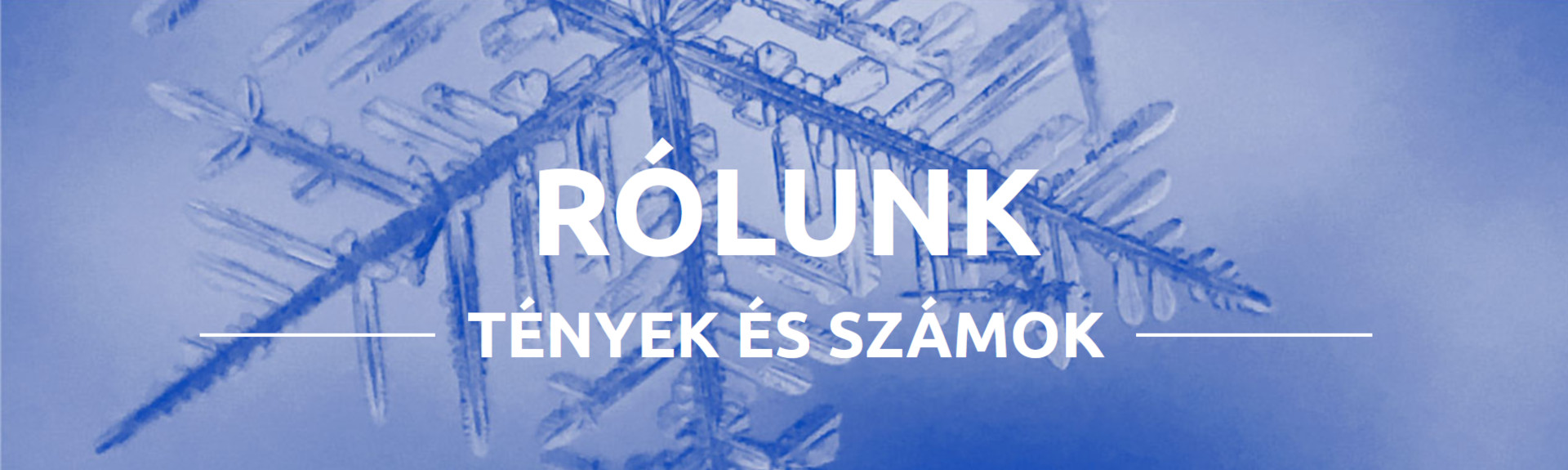 Rólunk